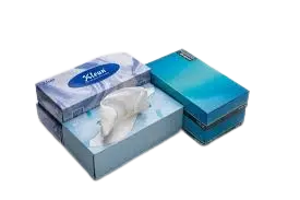 Klean Box Tissue 100's