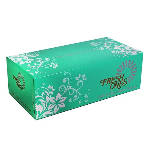 Fresh Ones Soft & Silky Facial Tissue 2 Ply 100 Sheets
