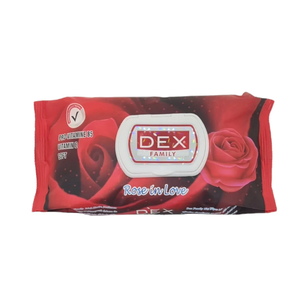 Dex Family Towel Advance Pack 120 Pieces