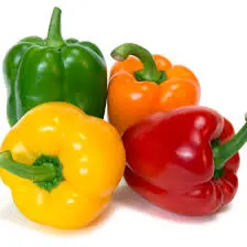 Bell Pepper kg