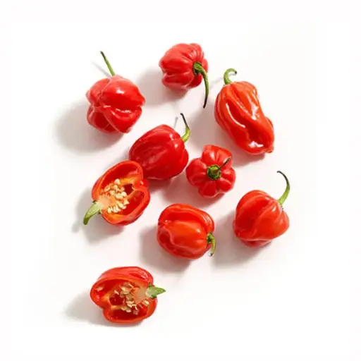 Hot Chilli - kg