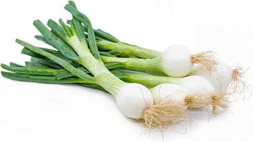 Spring Onion - kg