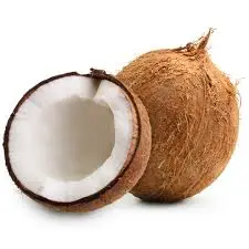 Coconut IND