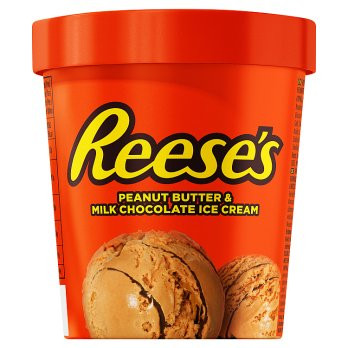 Reese's Peanut Butter Ice Cream - 310g