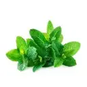Leafy Greens & Herbs