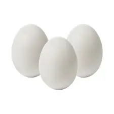 [100991] White Egg