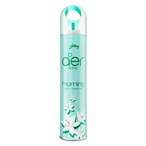 [102170] Godrej Aer Spray Morning Misty 220ML