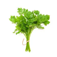 [102634] Coriander - kg