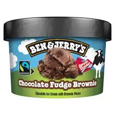[103931] Walls Ben & Jerrys Choco Fudge Brown 100ml 