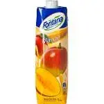 [103991] Fontana Mango Nectar 1L